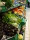 How To Freeze Mashed Vegetable